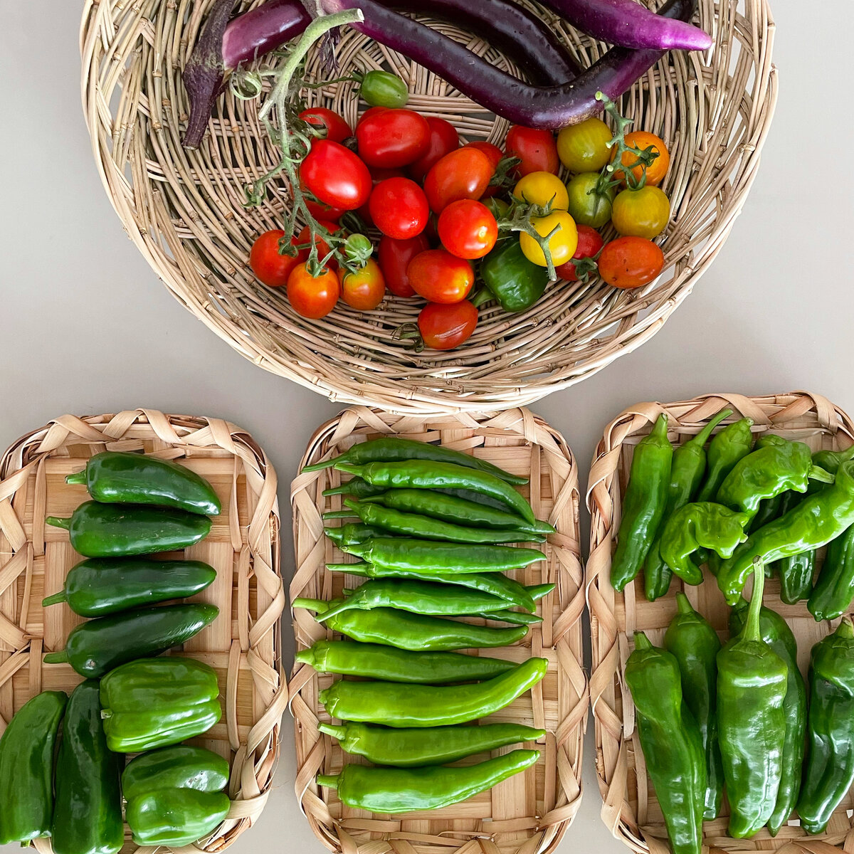 料理家・植松良枝さんの 野菜と生きる、季節と生きる | オレンジ