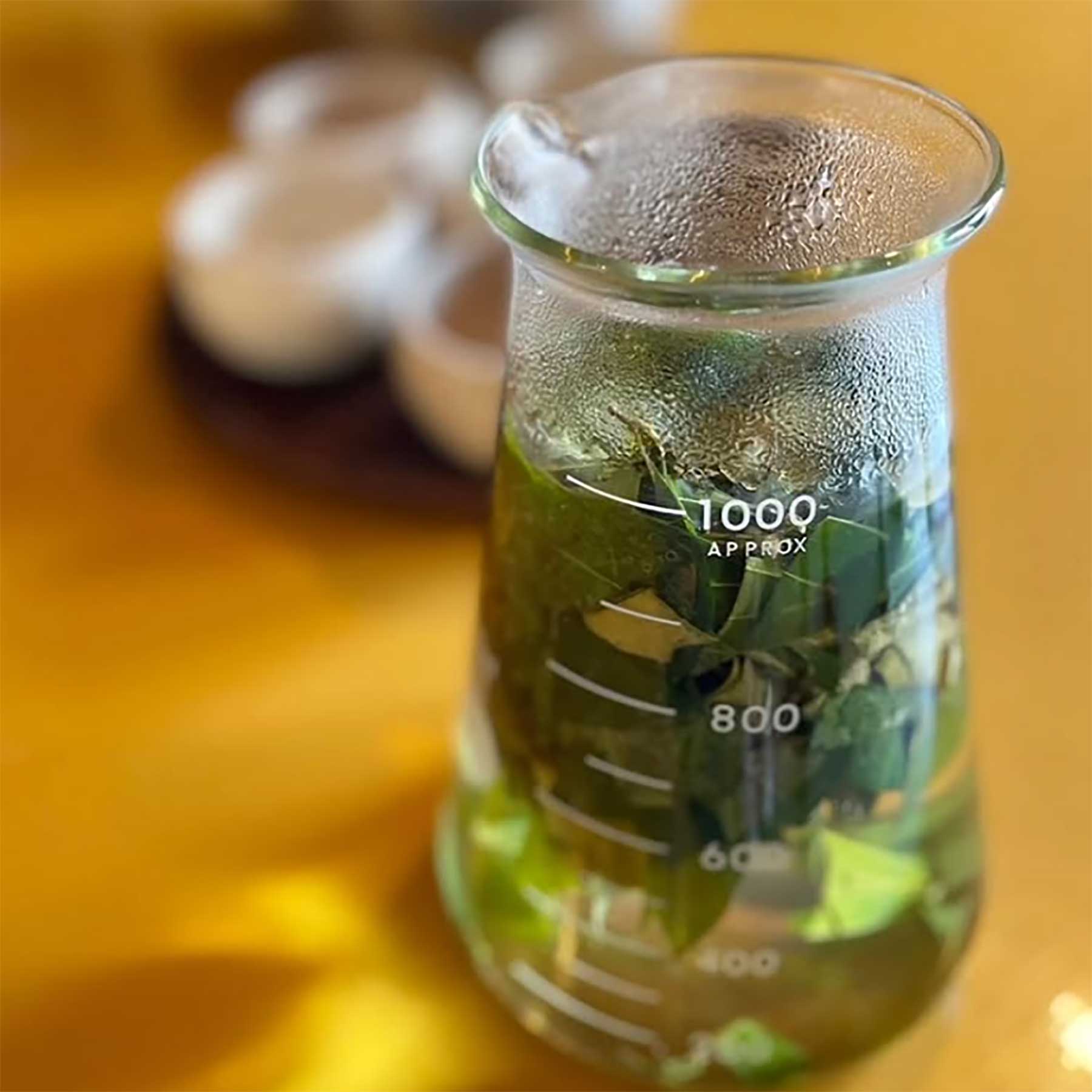 精油やハーブと向き合う 薬剤師・宇鷹画美さんの植物療法 | オレンジ